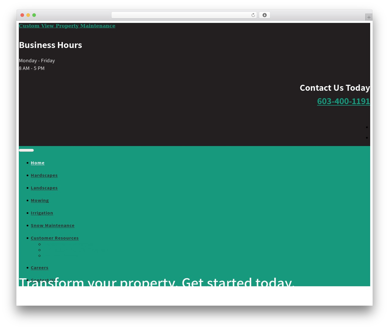 Next Foundations WordPress theme - custom-view.com