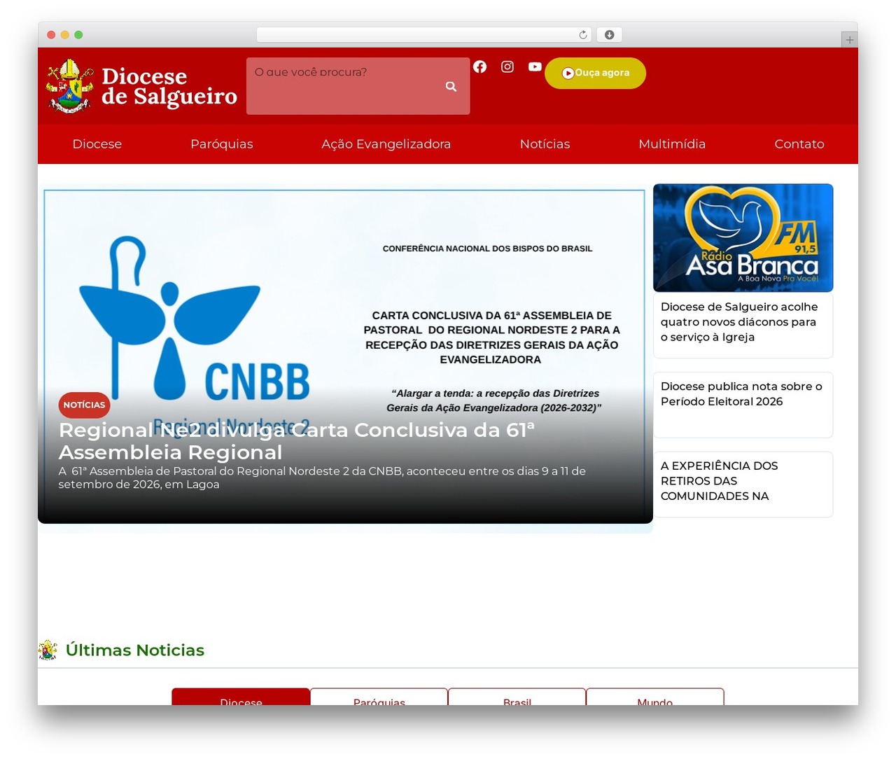 WordPress theme Hello Elementor - diocesedesalgueiro.org.br