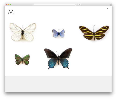Themelovin dribbble WordPress plugin - mirkofeliziani.com
