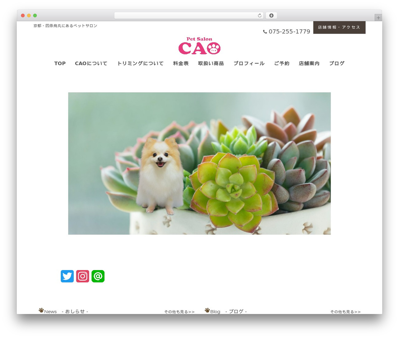 WordPress theme Petit - cao-jp.com WordPress theme Petit - cao-jp.com