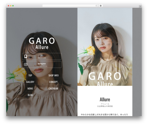 Enc_func WordPress plugin - allure.garo-hair.com