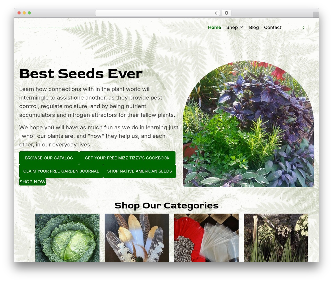 Beaver Builder Theme WordPress store theme - mizztizzysweedsandseeds.com