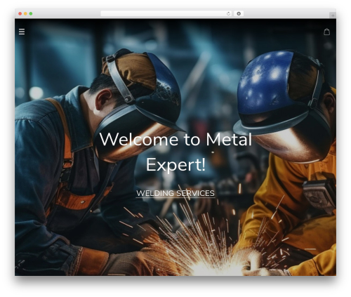Alids WordPress plugin - metalexpertsa.com