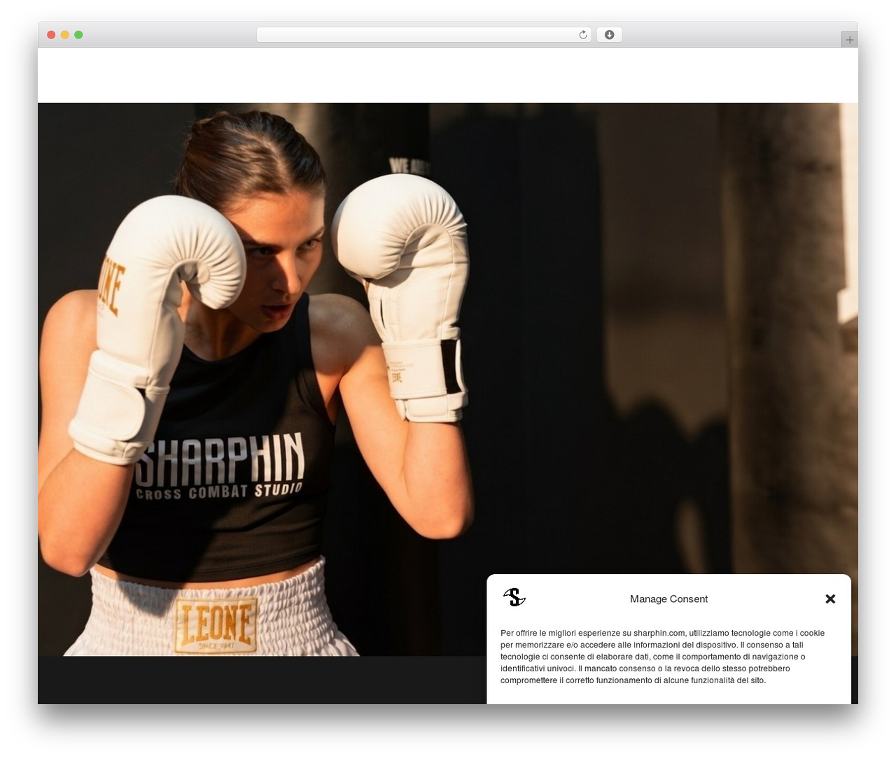 F7 theme WordPress - sharphin.com