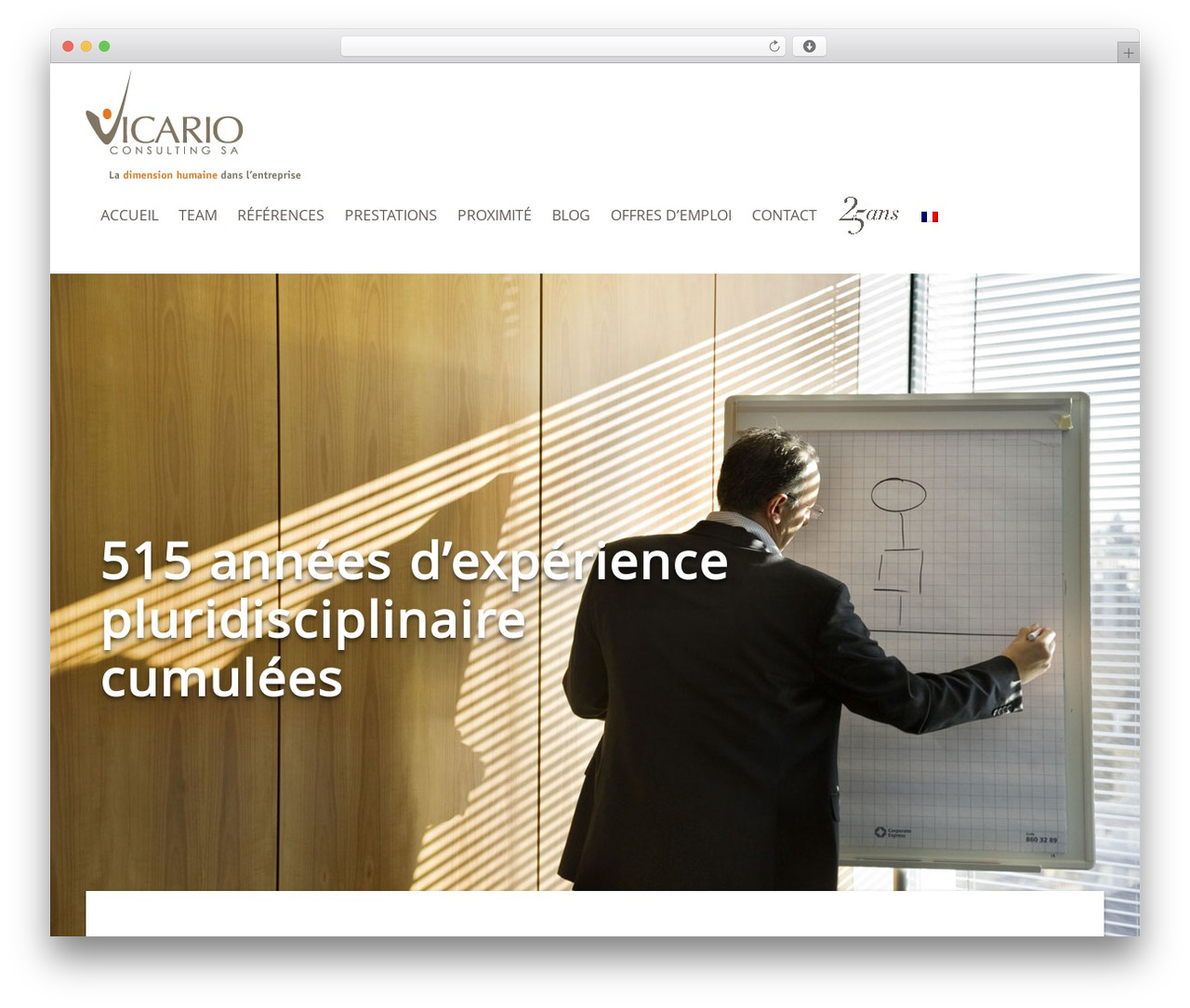 OGS best WordPress theme - vicario.ch