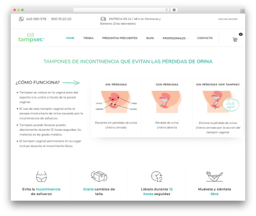 Tampsec WordPress theme - tampsec.com