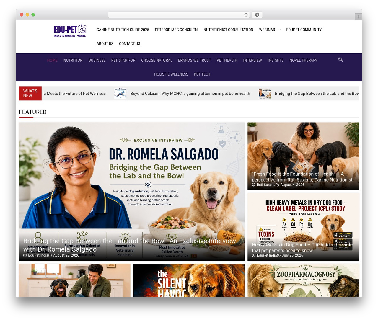 Theme WordPress Hello Elementor - edupet.in Theme WordPress Hello Elementor - edupet.in