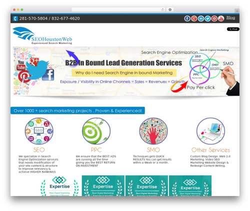 WordPress theme B2B - b2bleadsgeneration.net