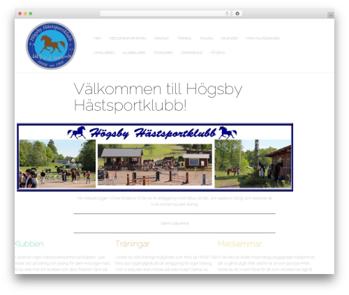 Question answer (question-answer-faq) free WordPress plugin - xn--hgsbyhstsportklubb-qtb86a.online