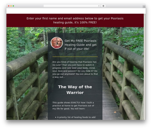 Create WordPress theme - phwarrior.com