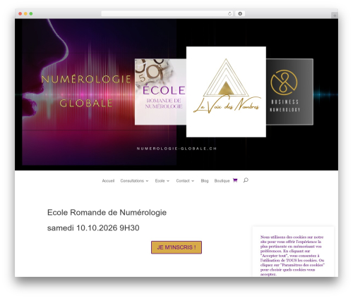 Twint woocommerce extension WordPress plugin - numerologie-globale.ch
