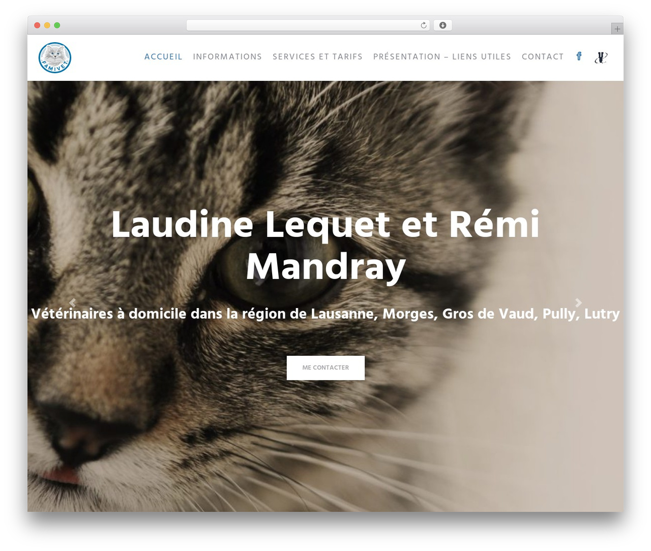 EasyQuickSite Theme WordPress theme design - famivet.ch EasyQuickSite Theme WordPress theme design - famivet.ch
