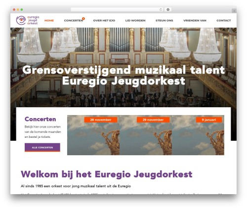 WordPress theme Euregio - euregiojeugdorkest.com
