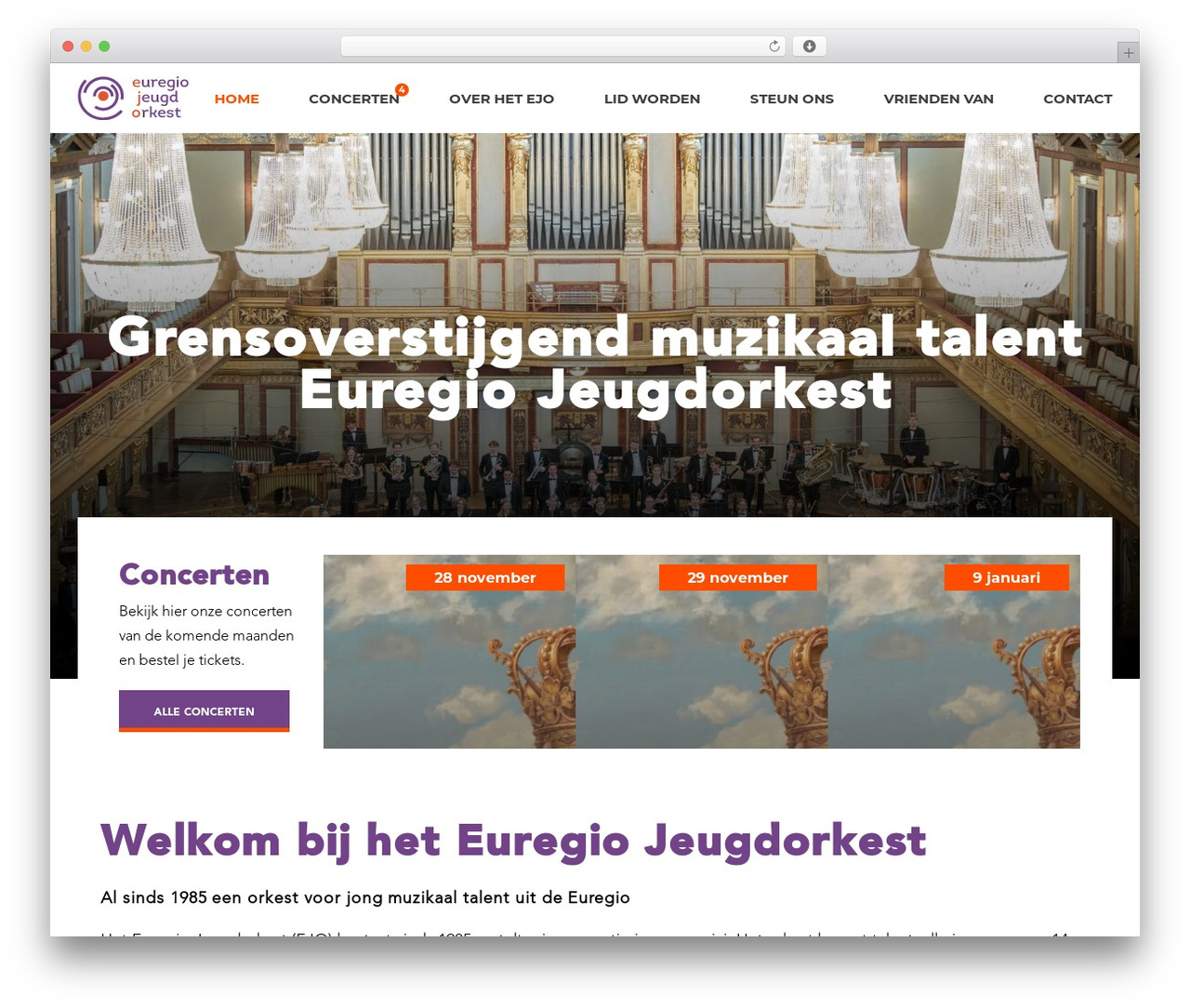 WordPress theme Euregio - euregiojeugdorkest.com