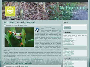 WordPress theme NPWeb_WordPress WordPress theme NPWeb_WordPress