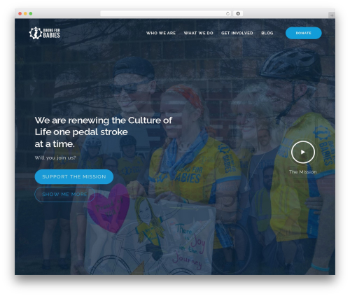 Ave core WordPress plugin - bikingforbabies.com