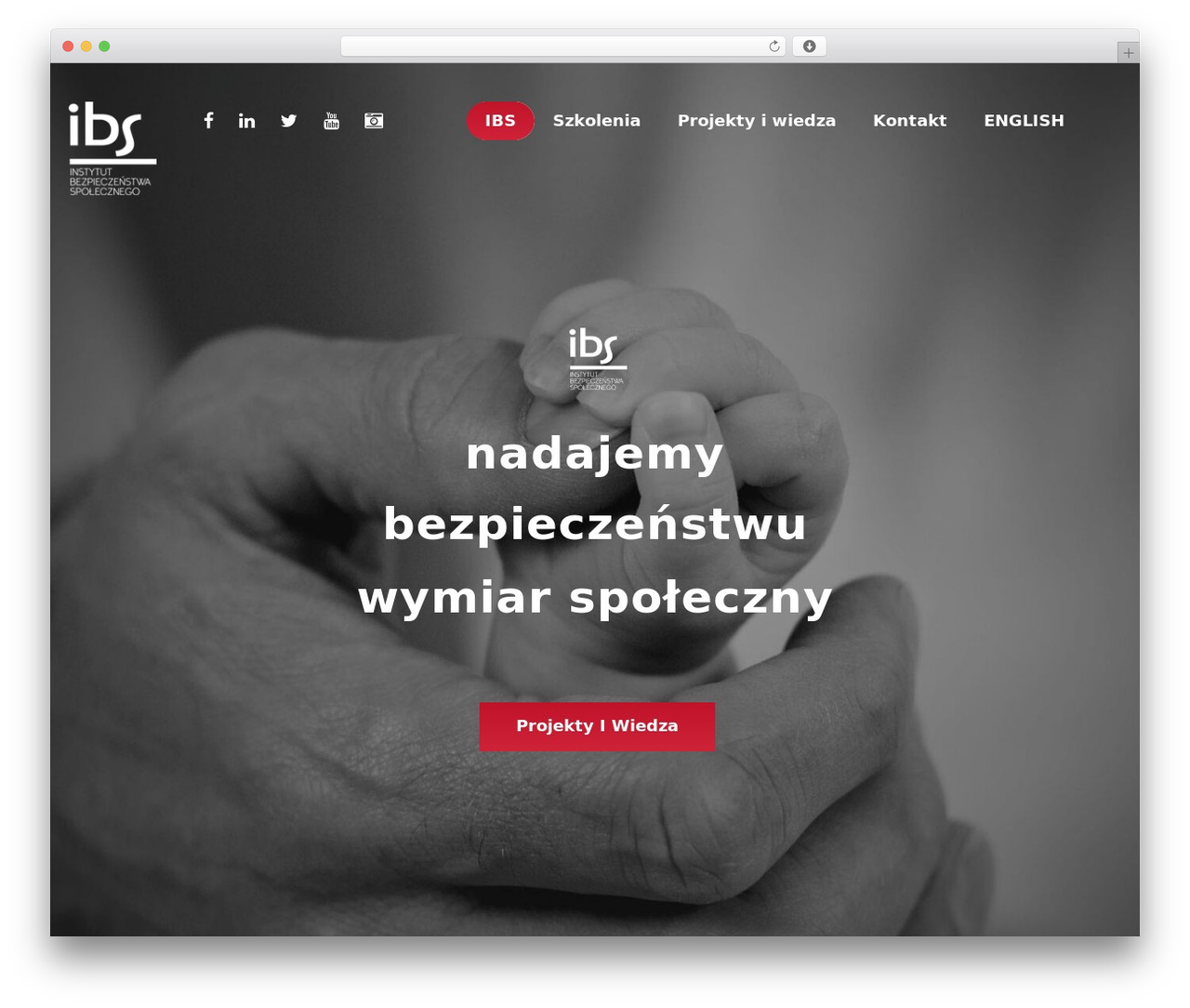 Cherry Framework theme WordPress - fundacjaibs.pl