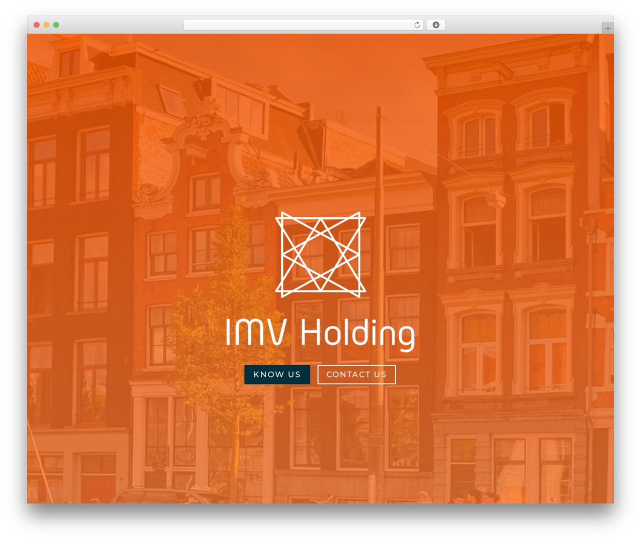 Divi WordPress theme - imvholding.com Divi WordPress theme - imvholding.com