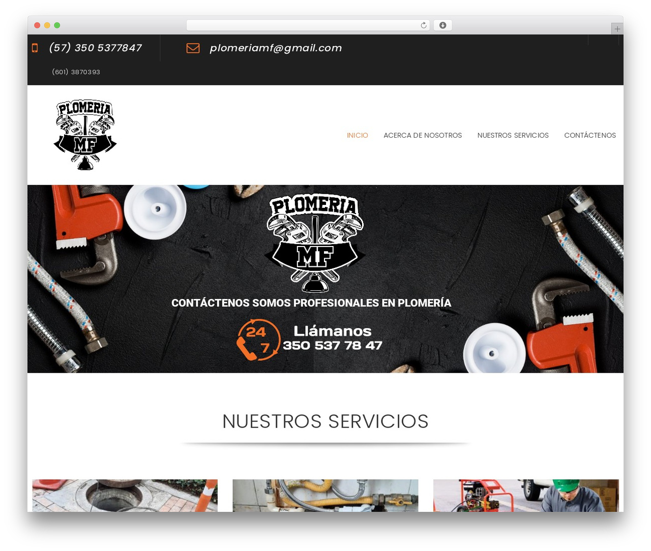 G5Plus Ruby Build WordPress theme - plomeriamf.com G5Plus Ruby Build WordPress theme - plomeriamf.com