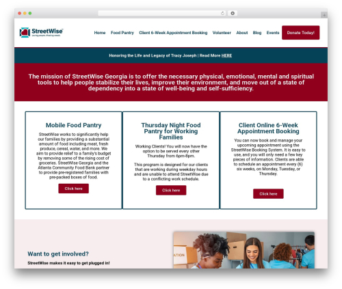 Optimizer PRO best WordPress theme - streetwisegeorgia.org