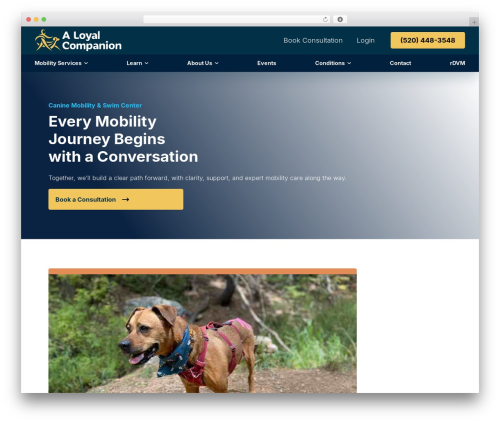 Tin canny learndash reporting WordPress plugin - aloyalcompanion.com