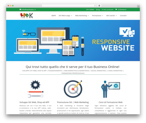 Theme WordPress Divi - seokappa.it