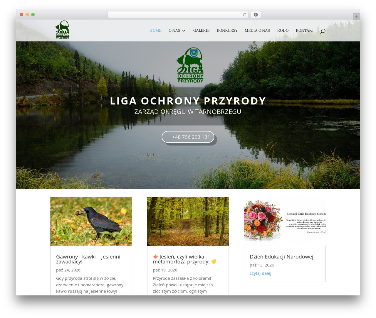 WordPress theme Divi - lop.tarnobrzeg.pl WordPress theme Divi - lop.tarnobrzeg.pl
