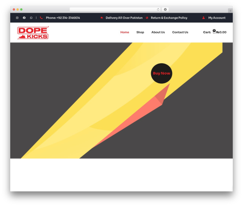 Elementor pro 2 WordPress plugin - dopestorepk.com