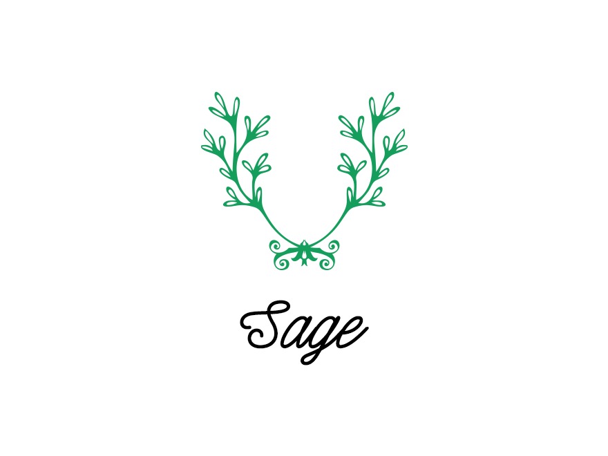 Sage theme WordPress