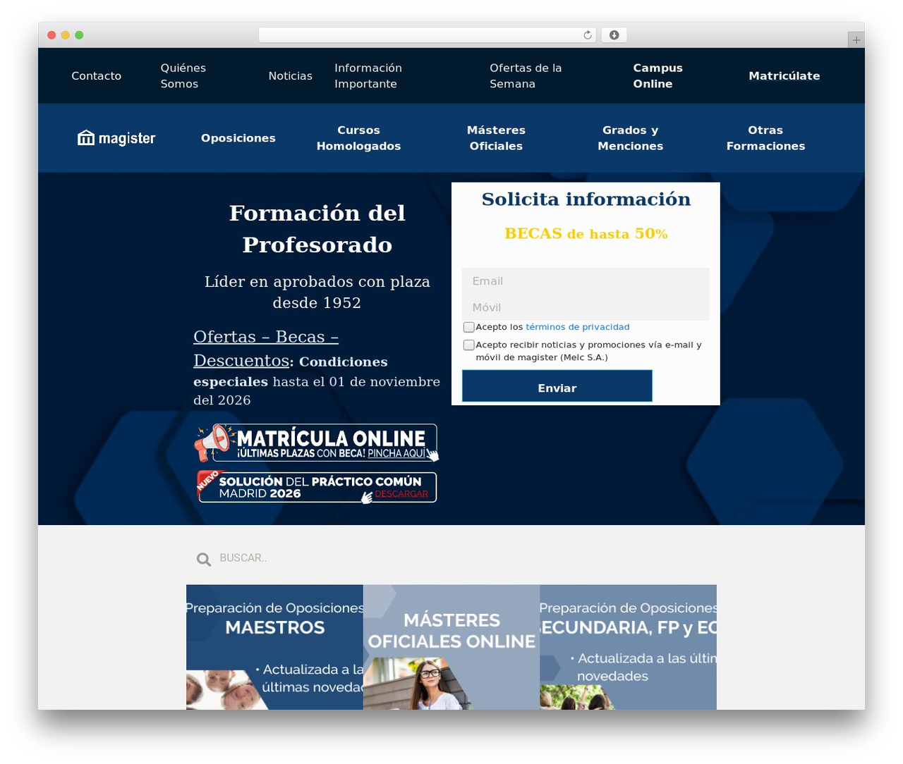 Skilled WordPress theme - web.magister.com
