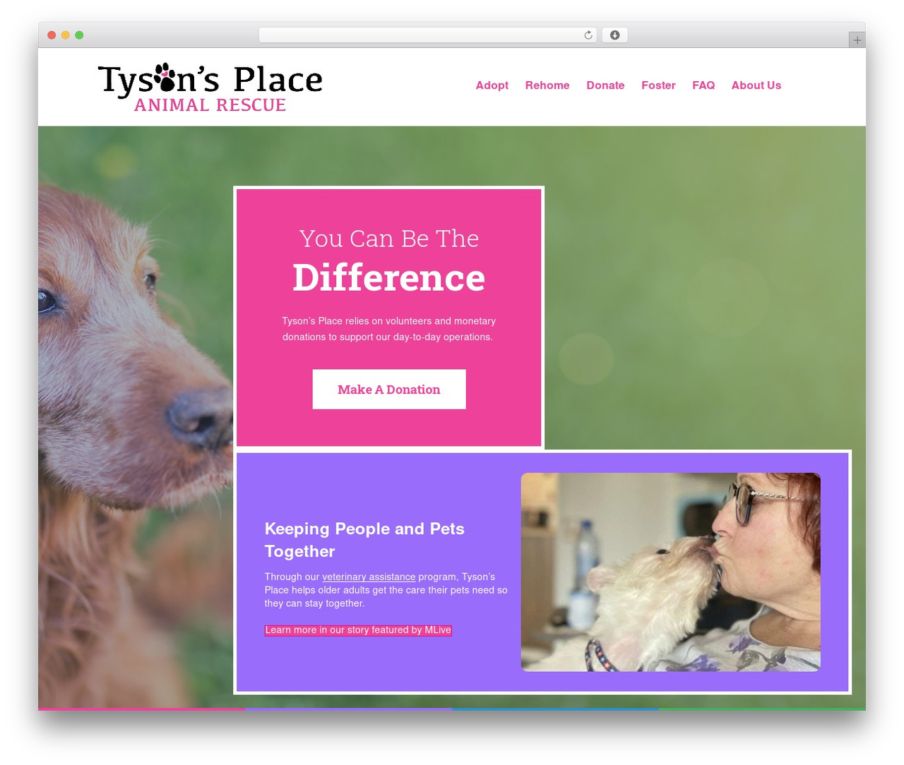 WordPress theme Beaver Builder Theme - tysonsplacerescue.org WordPress theme Beaver Builder Theme - tysonsplacerescue.org