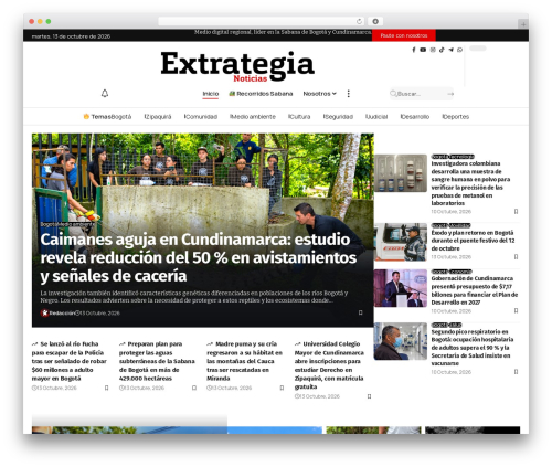 Foxiz core WordPress plugin - extrategiamedios.com