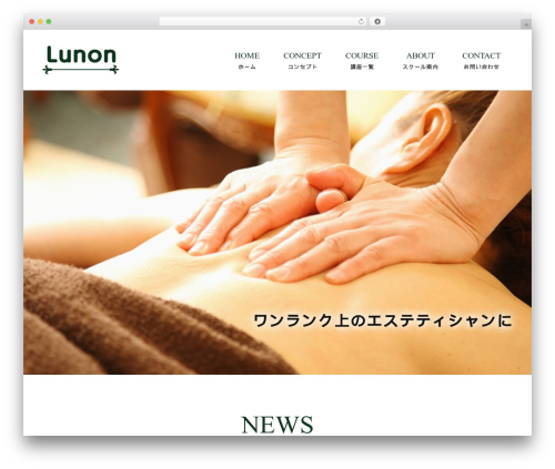 WordPress website theme Themify Basic - lunon.net