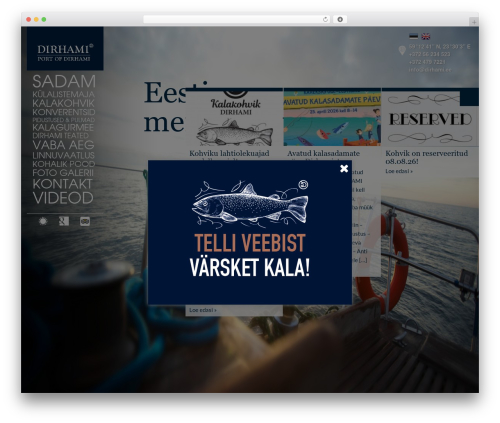 Dirhami Theme WordPress theme - dirhami.ee Dirhami Theme WordPress theme - dirhami.ee
