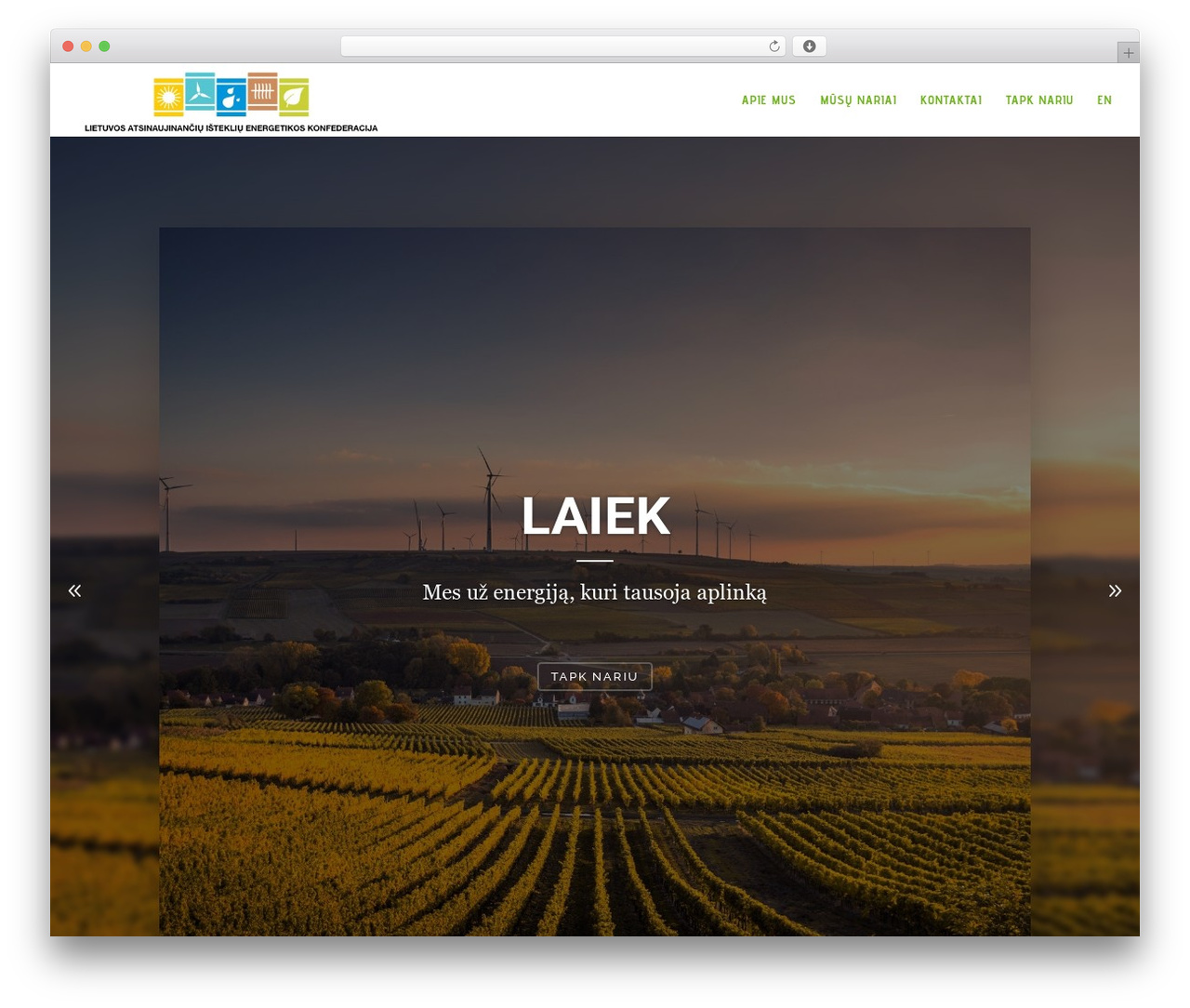 Divi WordPress theme - ateitiesenergija.lt