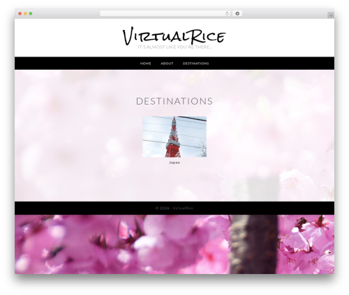 Genesis WordPress theme - virtualrice.com