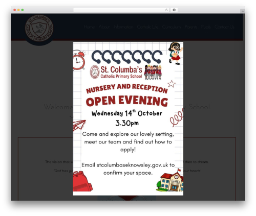 Themify Popup (themify-popup) free WordPress plugin - stcolumbasknowsley.co.uk