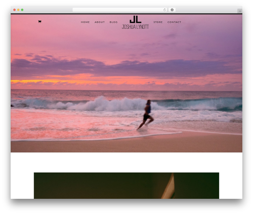 Lawforwebsites WordPress plugin - joshualynott.com