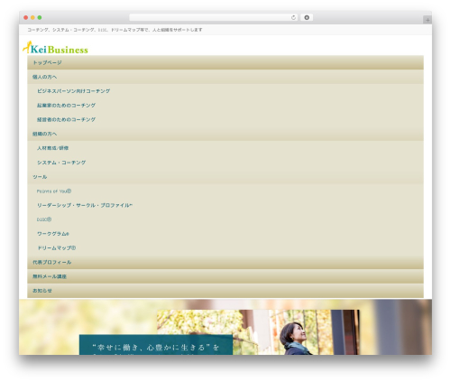 Lightning skin variety WordPress plugin - kei-business.com