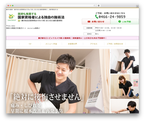 Theme WordPress Selfull - hinata-seikotsuin.com