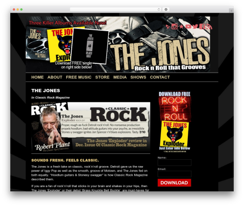 TunePipe Basic WordPress theme - rockandrolljones.com