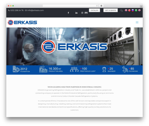 WordPress theme Site - erkasis.com
