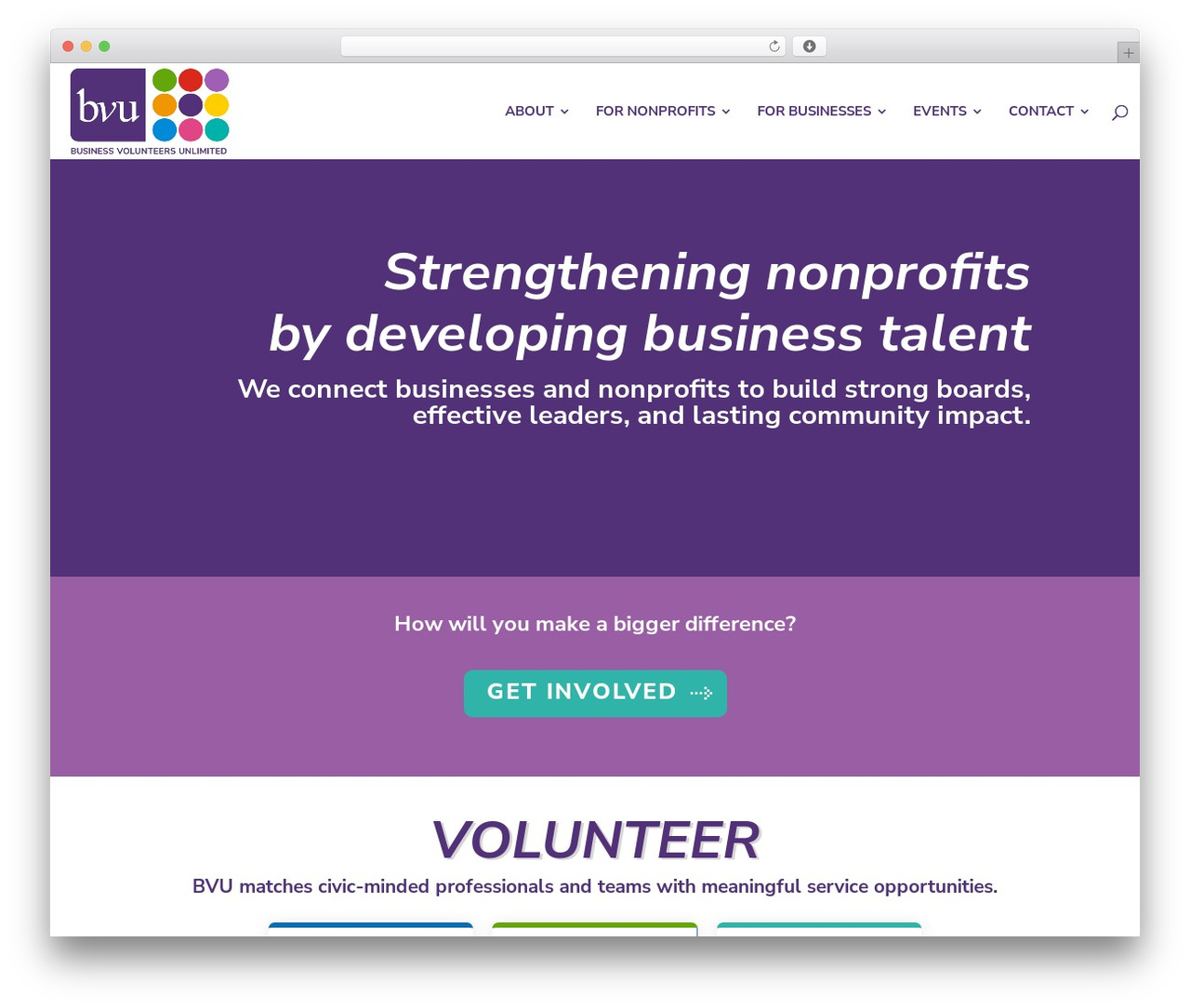 WordPress theme Divi - bvuvolunteers.org
