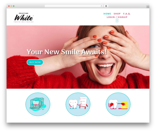 Woocommerce cart add ons WordPress plugin - pristinewhite.com
