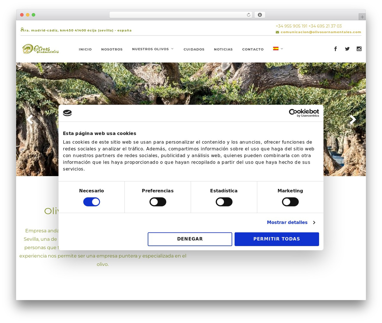WordPress theme Pivot - olivosornamentales.com WordPress theme Pivot - olivosornamentales.com