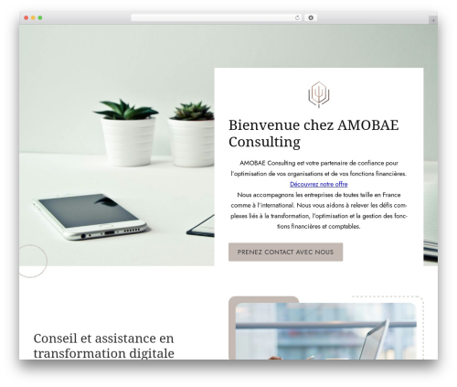 Best WordPress theme Constructor - amobae.com