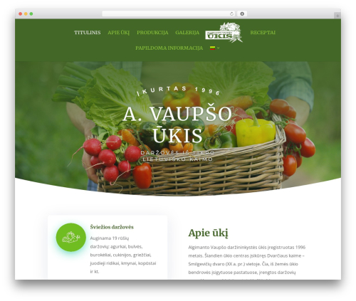 Divi WordPress theme - vaupsoukis.lt