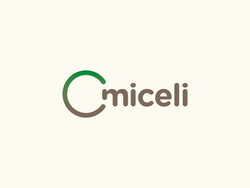 Miceli WordPress theme by Dad? Comunica