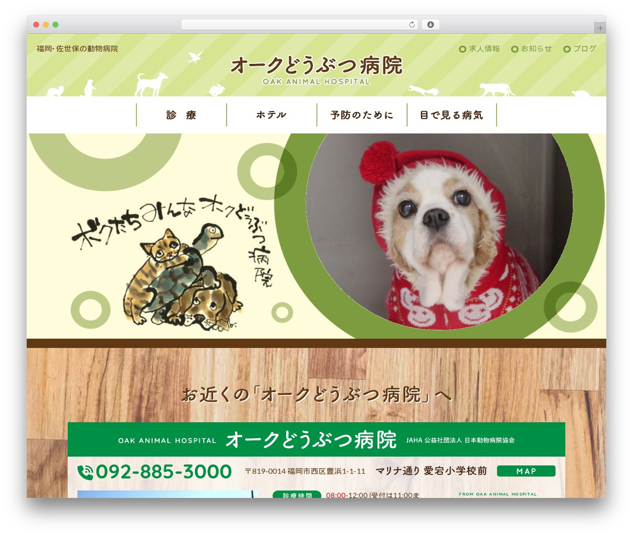OAK WordPress theme - oak-animal.com OAK WordPress theme - oak-animal.com