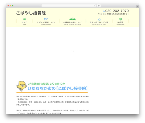 Themify Basic WordPress theme design - kobayashi-sekkotsuin.jp